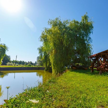 Cabana Nemtisor Экстерьер фото
