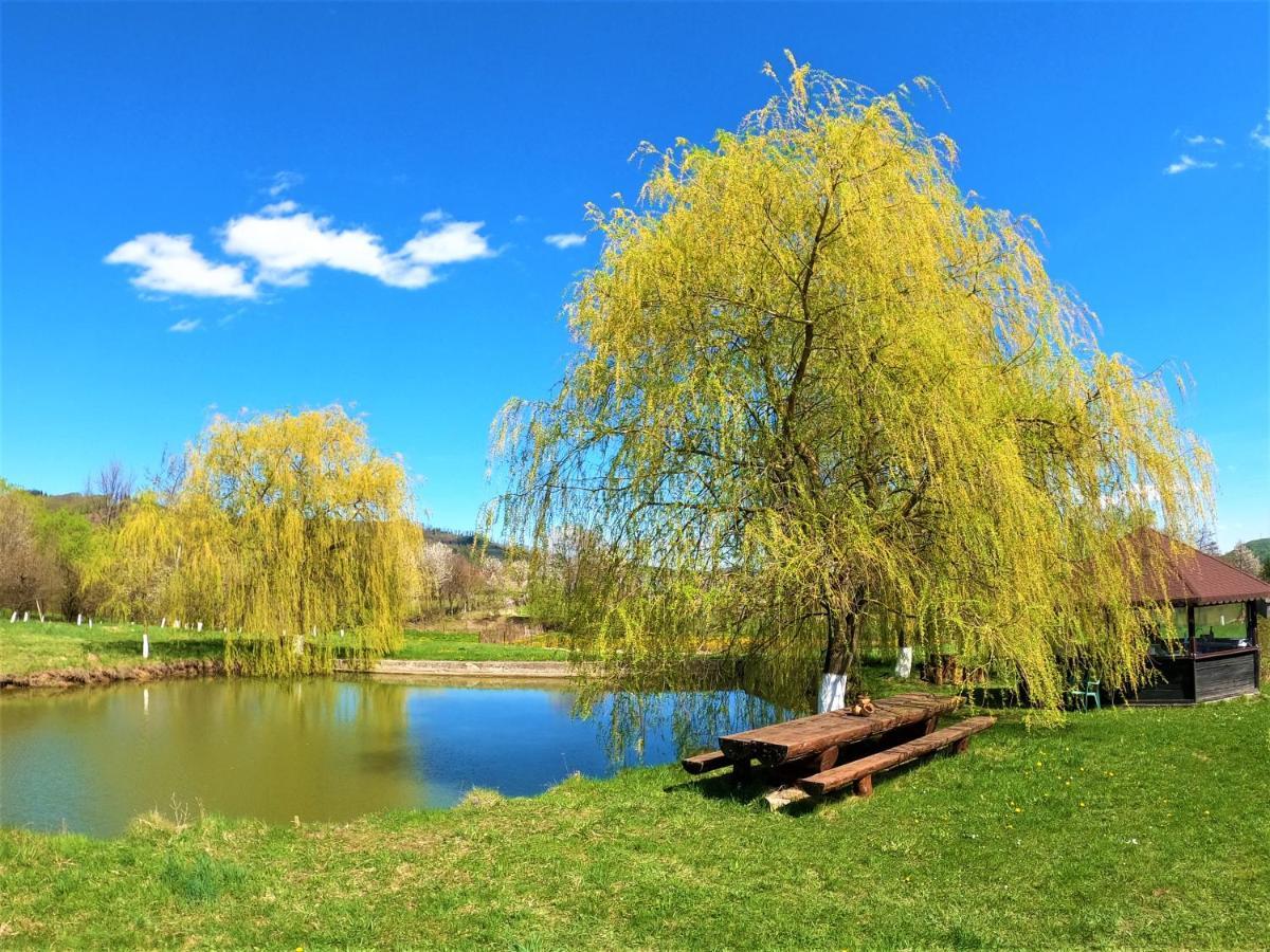 Cabana Nemtisor Экстерьер фото