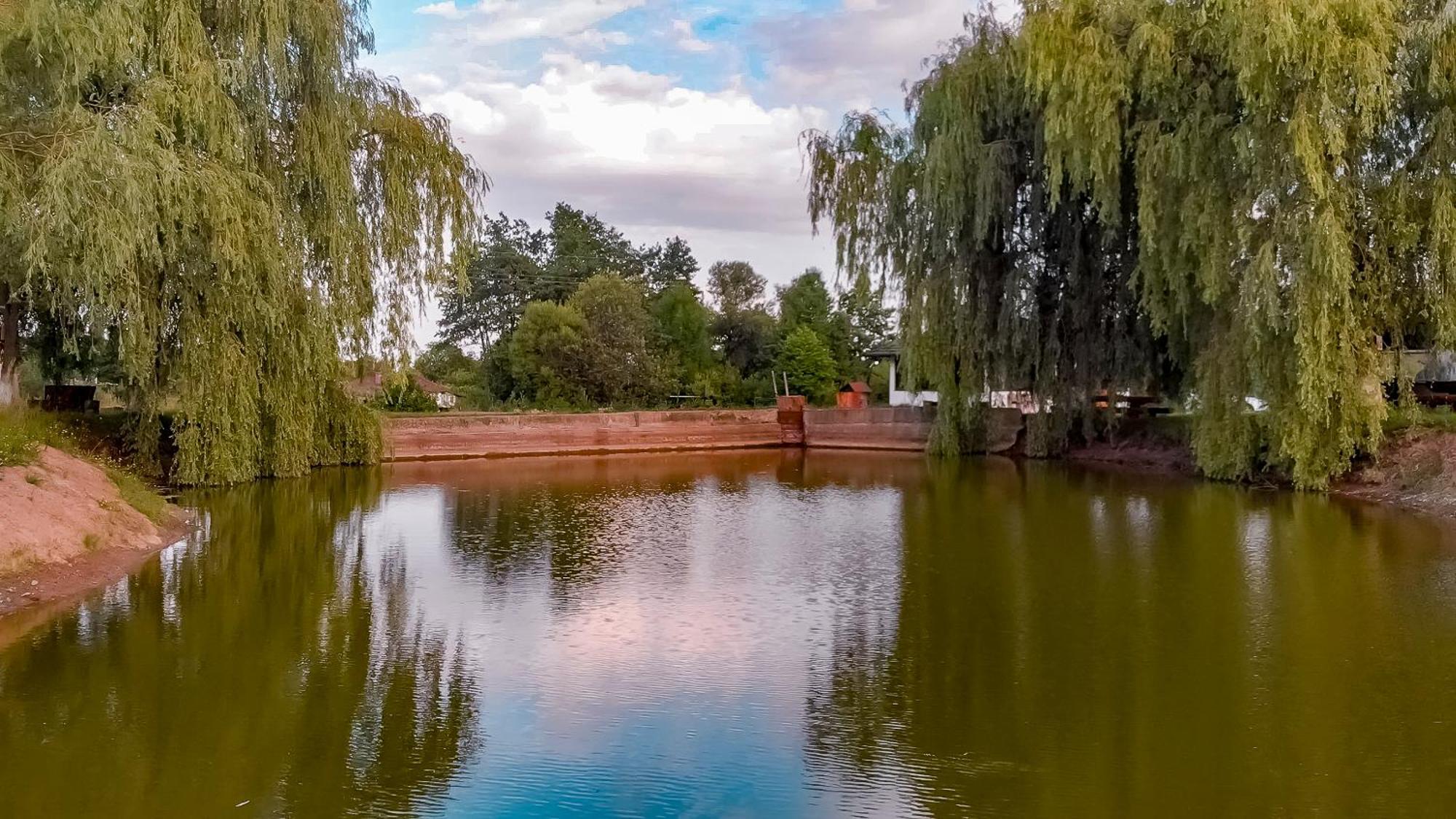 Cabana Nemtisor Экстерьер фото