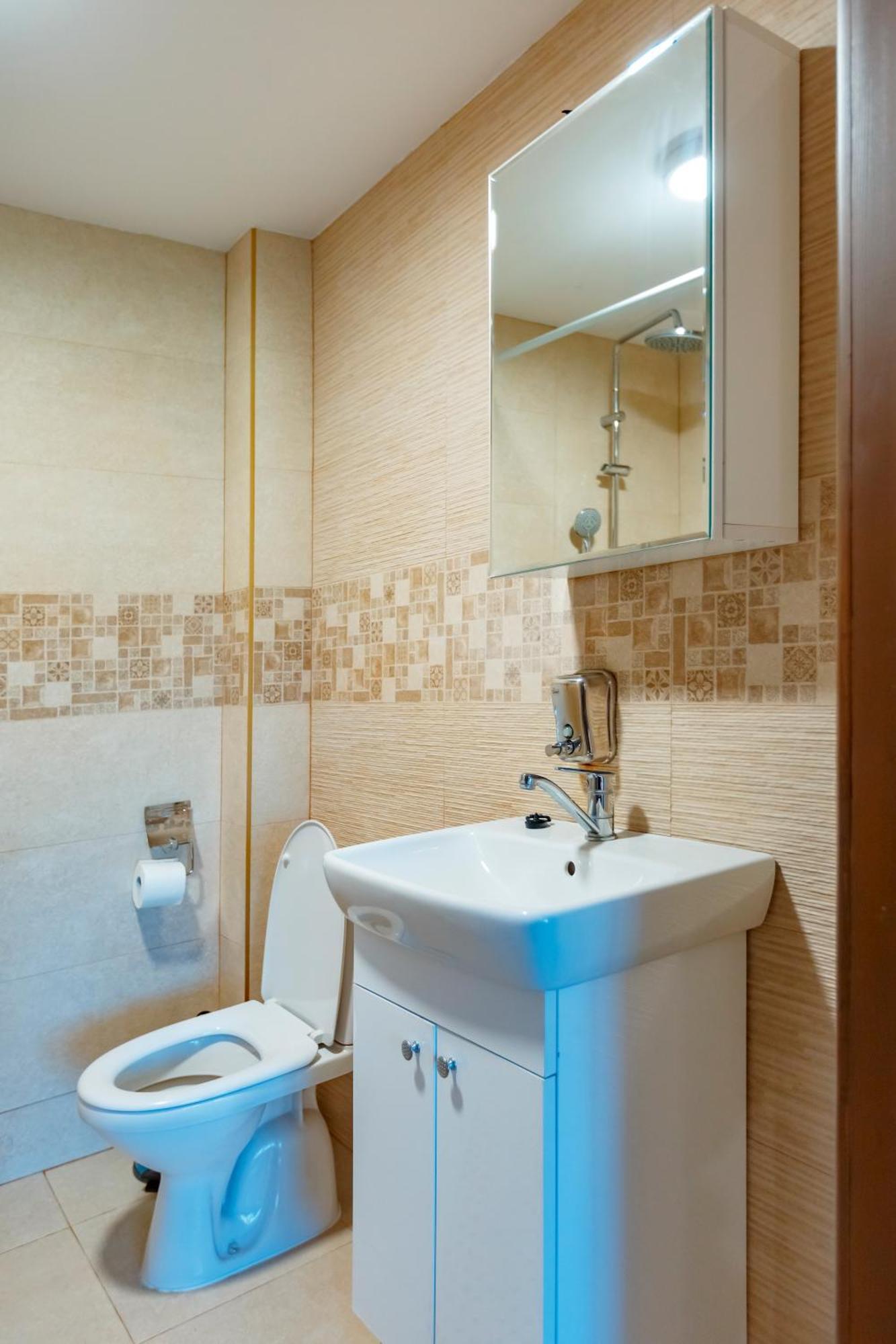 Cabana Nemtisor Экстерьер фото