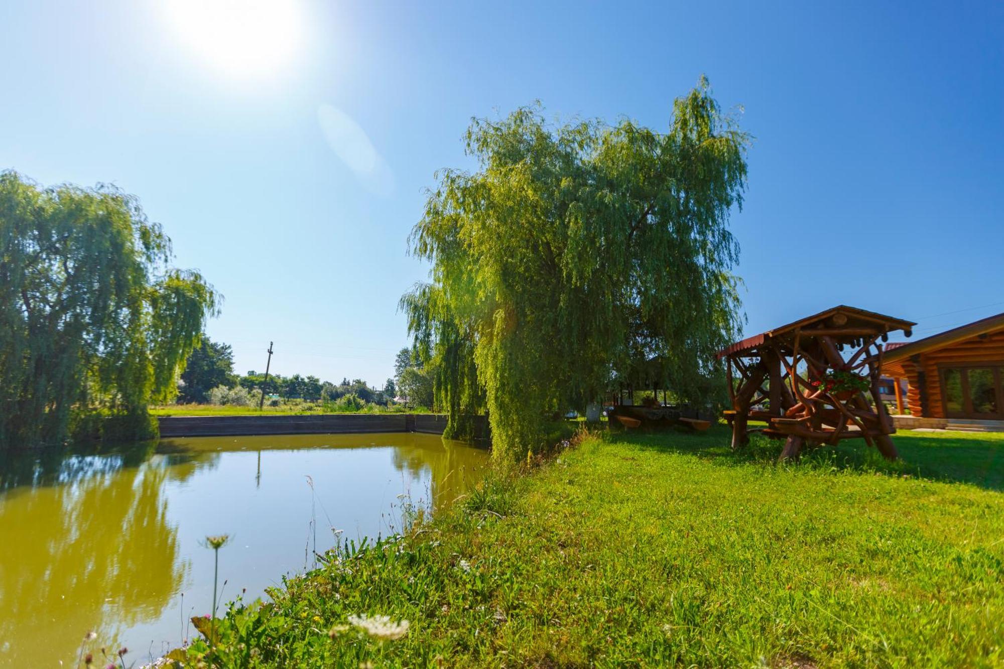Cabana Nemtisor Экстерьер фото