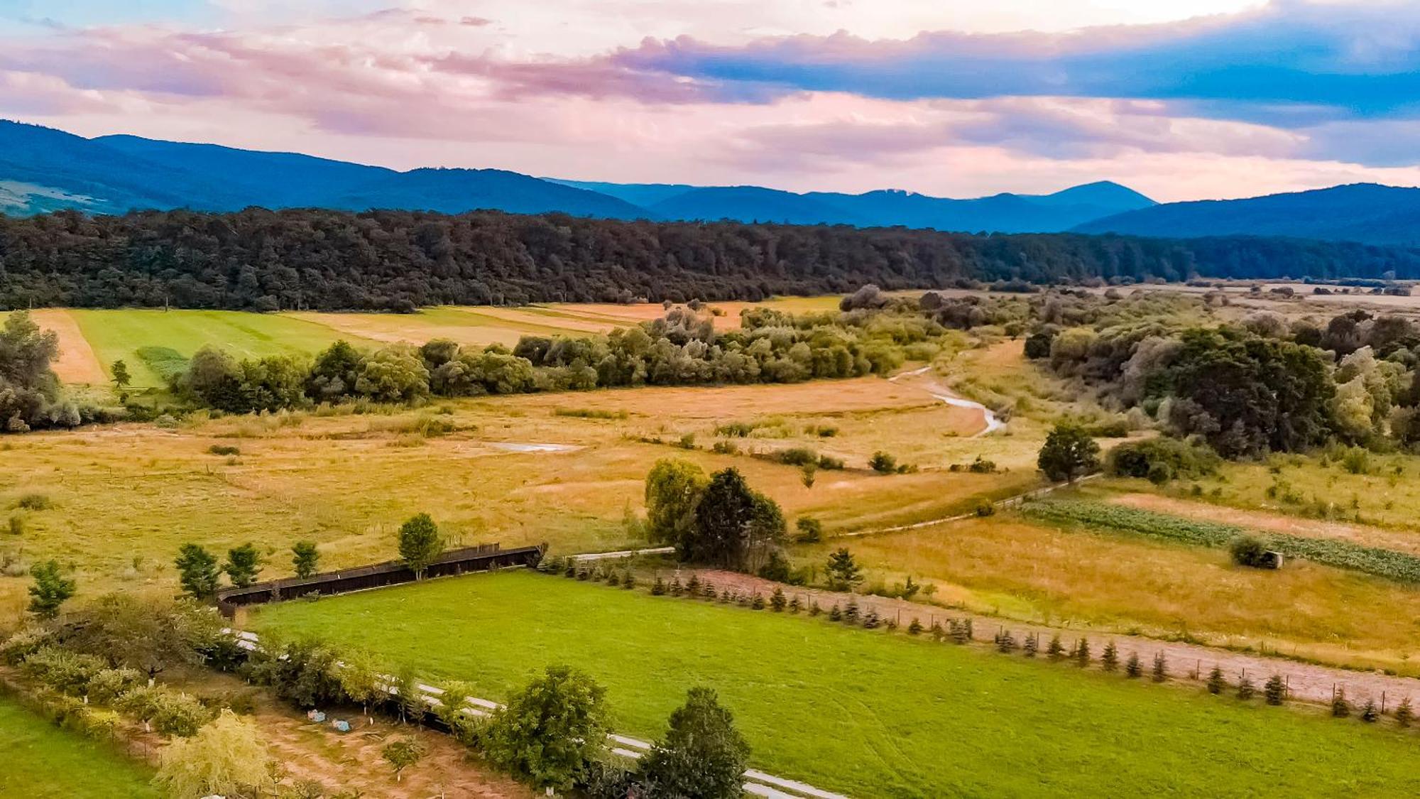 Cabana Nemtisor Экстерьер фото